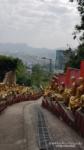 Hong Kong, area buddista con tempio dei 10 mila Buddha