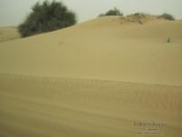 deserto emirati12