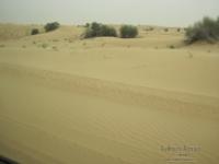deserto emirati13