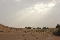 deserto emirati20