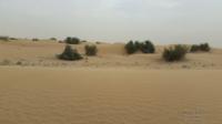 deserto emirati3