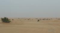 deserto emirati4