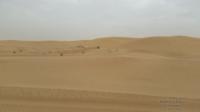 deserto emirati5