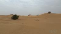 deserto emirati8
