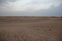 deserto emirati31